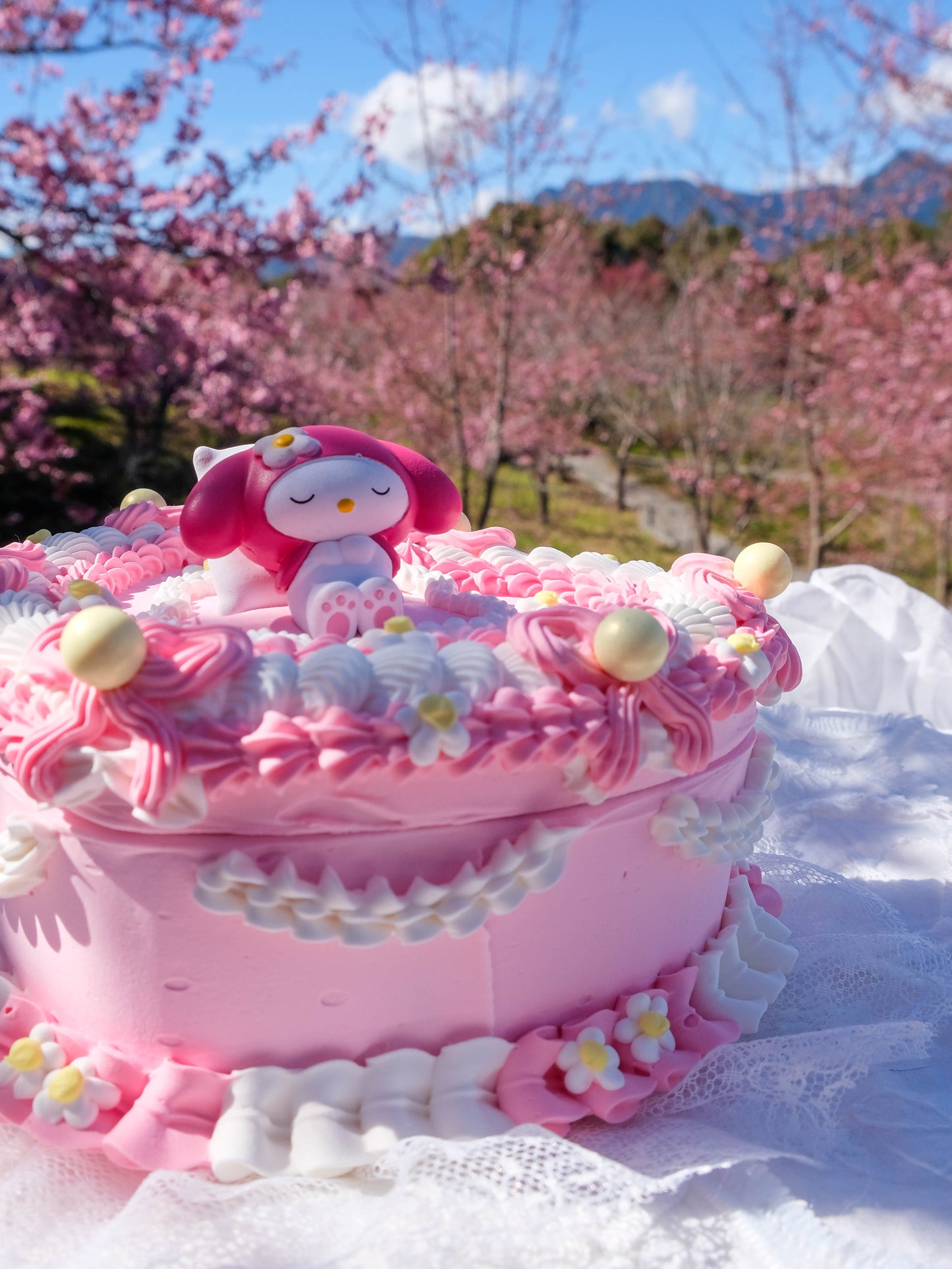 My Melody in Daisy Garden