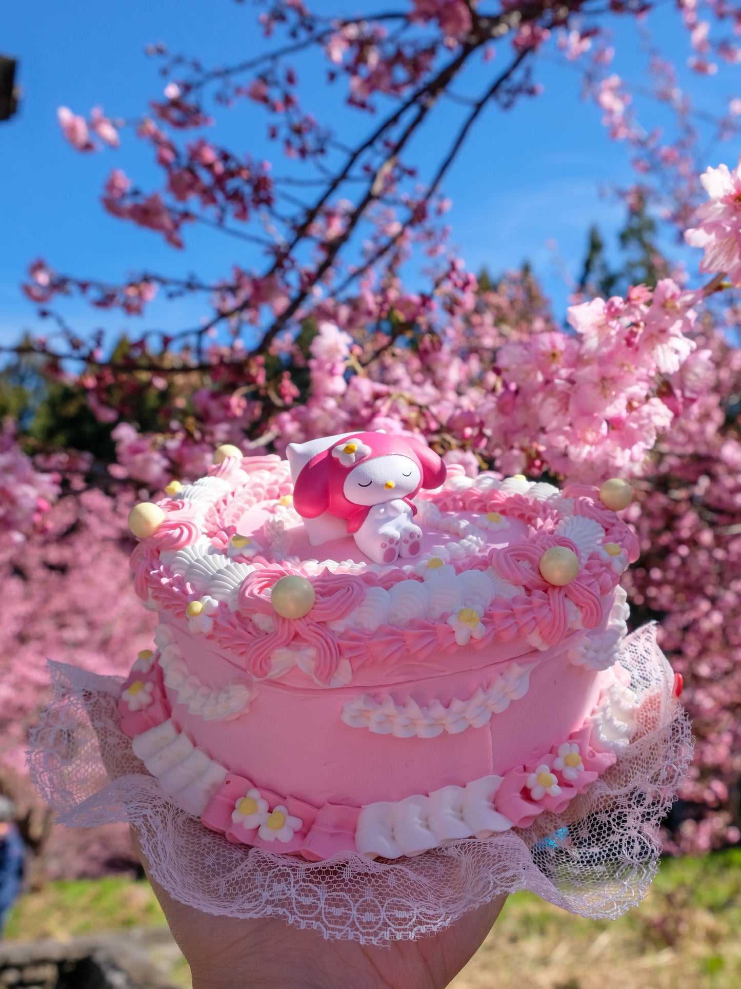 My Melody in Daisy Garden