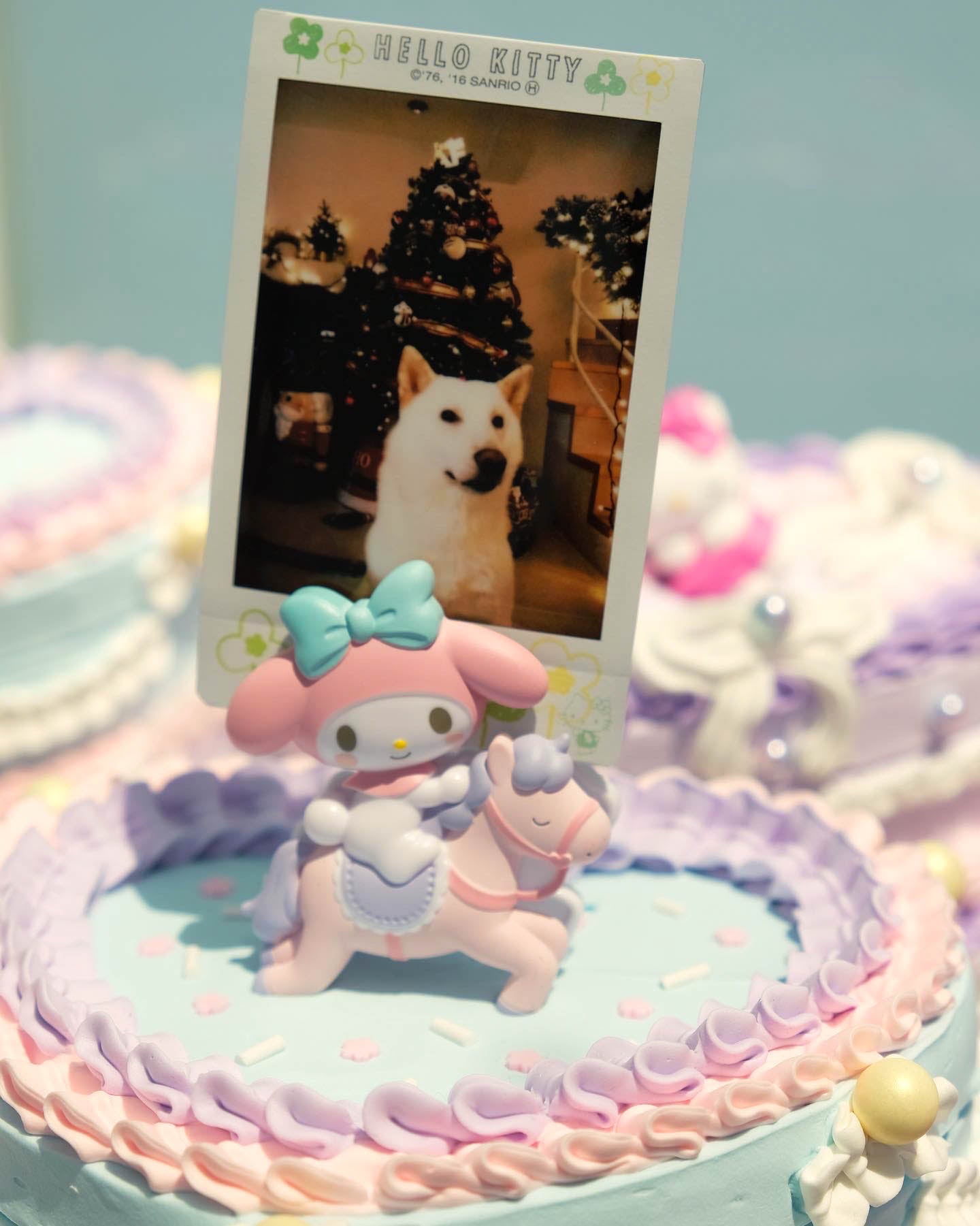 My Melody Horse Lesson - Polaroid Holder