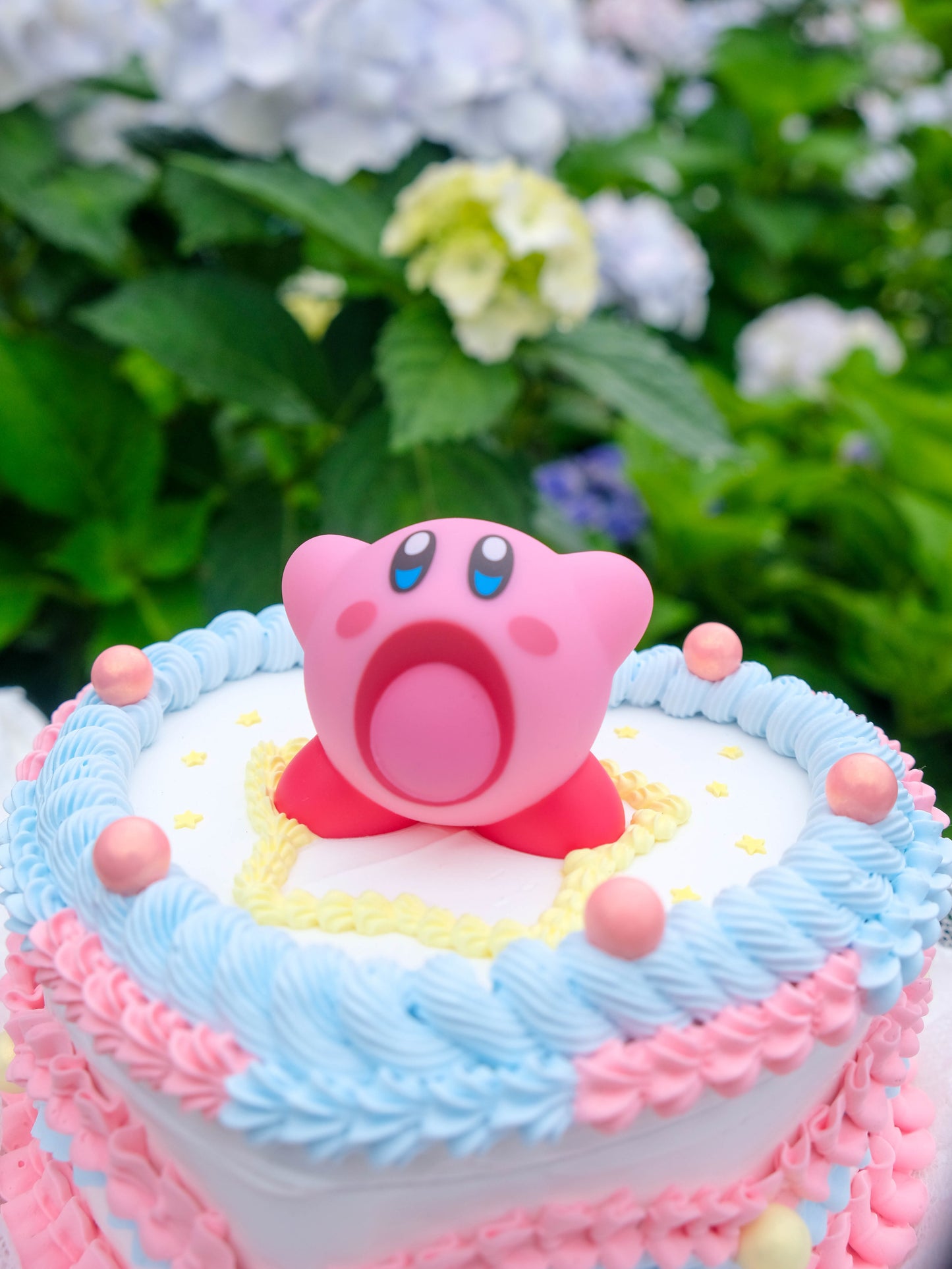 Swallow Kirby