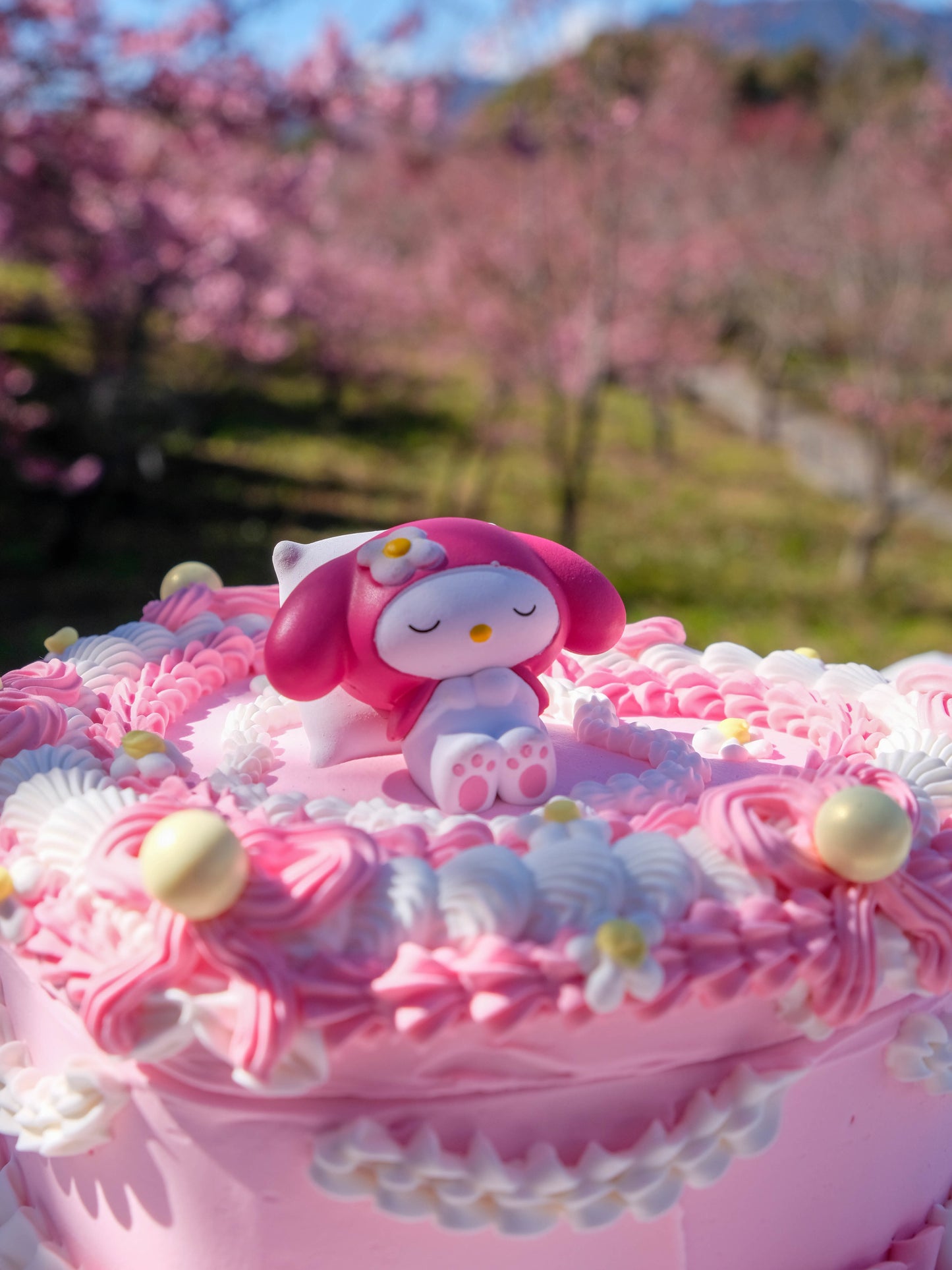 My Melody in Daisy Garden
